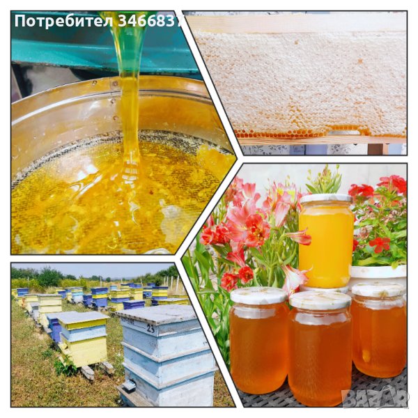 Натурален пчелен мед букет реколта 2023, снимка 1