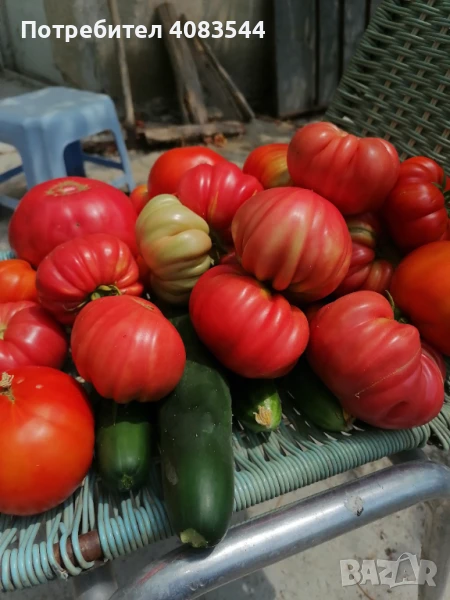 Домати, няколко сорта 1.50, снимка 1