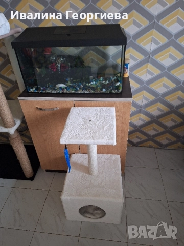 котешка драскалка , снимка 2 - За котки - 51996735