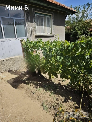 Продажба на къща с лятна кухня