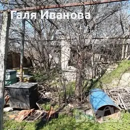 Два парцела в с.Оряховица, снимка 4 - Парцели - 49889250