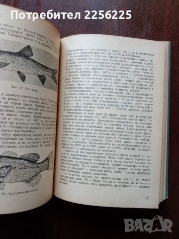 Ръководство по рибовъдство, снимка 2 - Специализирана литература - 50427706