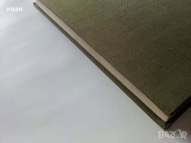 Албум "Государственный музей Эрмитаж - Француская живописXV—XVII веков" - 1973 г., снимка 12 - Енциклопедии, справочници - 35965292