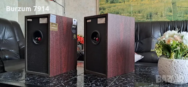 Hi-Fi тонколони Pioneer S-F21, снимка 3 - Тонколони - 56152419