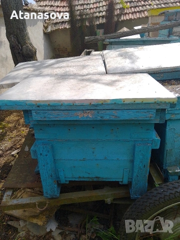 Пчелни кошери от военни сандъци, снимка 2 - Други животни - 53355959