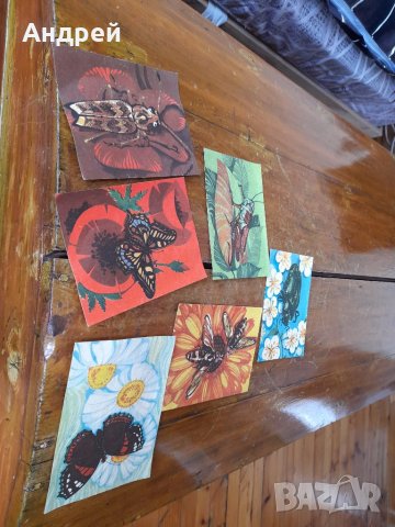 Стара детска игра с кубчета #5, снимка 3 - Антикварни и старинни предмети - 41066863