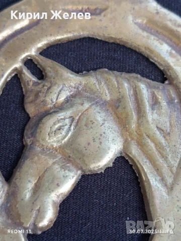 ВИНТИДЖ КОНСКИ МЕДАЛЬОН АНГЛИЯ РЯДЪК ЗА КОЛЕКЦИОНЕРИ 22927, снимка 2 - Други ценни предмети - 51195027