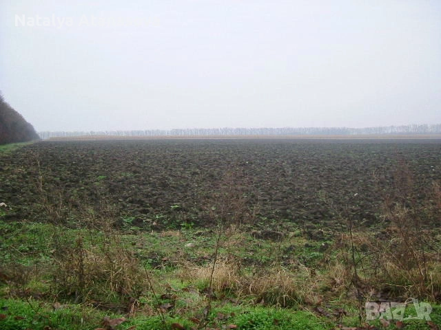 Парцел за продажба в Котленци, Добрич, снимка 4 - Парцели - 53634892