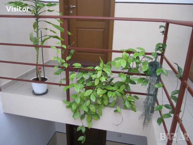 Canon Digital IXUS 110 IS  12,1МРх, снимка 13 - Фотоапарати - 53060476