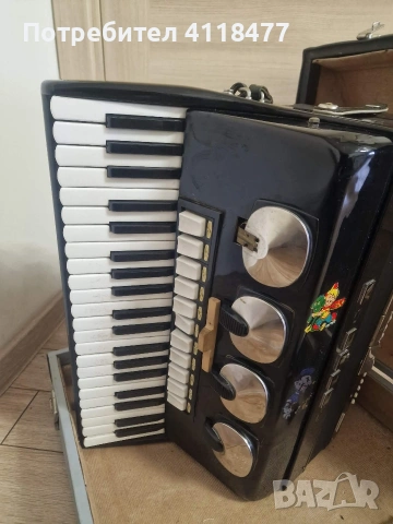 Чешки акордеон DELICIA choral 120 баса, снимка 2 - Акордеони - 53716711