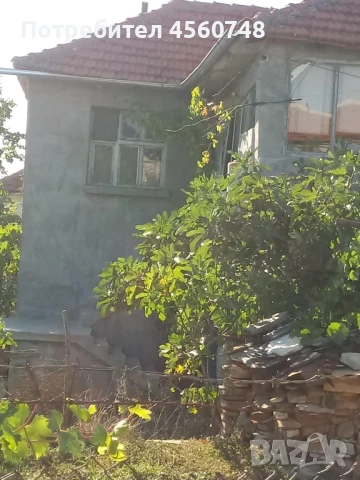 Къща в с. Ламбух, снимка 5 - Къщи - 51321601