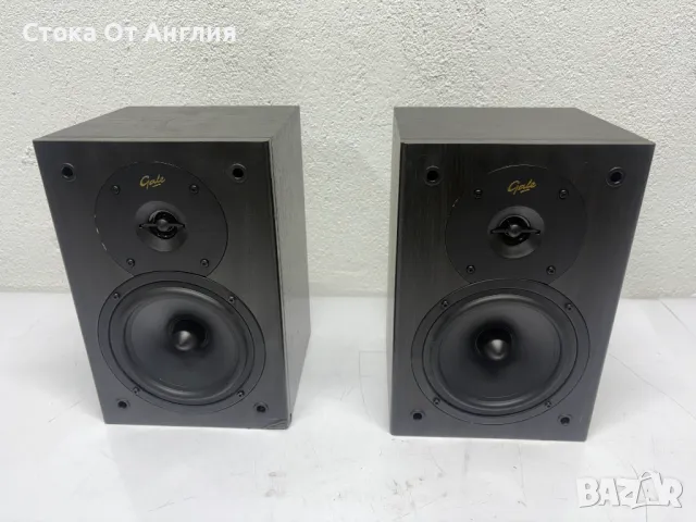 Тонколони - Gale Silver Monitor