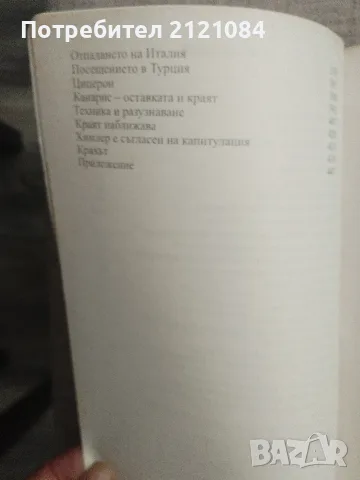  Лабиринт / Валтер Шеленберг, снимка 3 - Художествена литература - 55973757