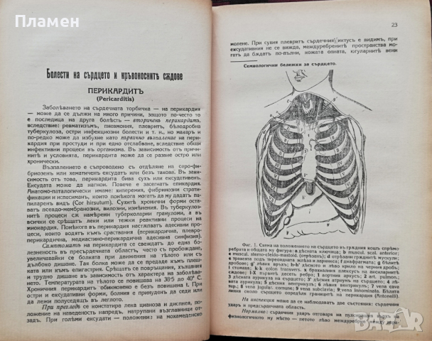 Болестите и тяхното лечение Стефанъ Ягоридковъ, снимка 6 - Антикварни и старинни предмети - 36288866