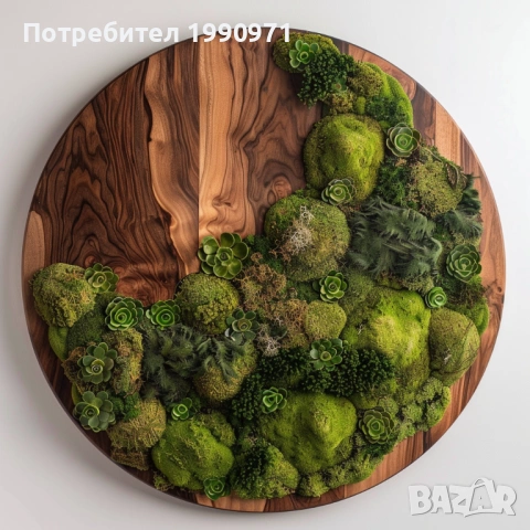 Стенен декор - пано. Ествествена дървесина с исландски мъх. Изработка по поръчка.