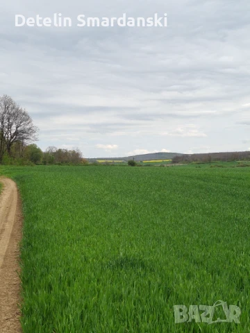 Поземлен земеделски имот , снимка 2 - Земеделска земя - 50649780