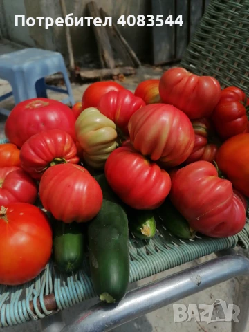 Домати, няколко сорта 1.50, снимка 1