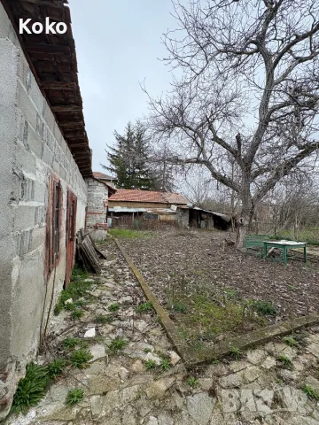 Къща в с.Тюркмен, снимка 3 - Къщи - 55889062
