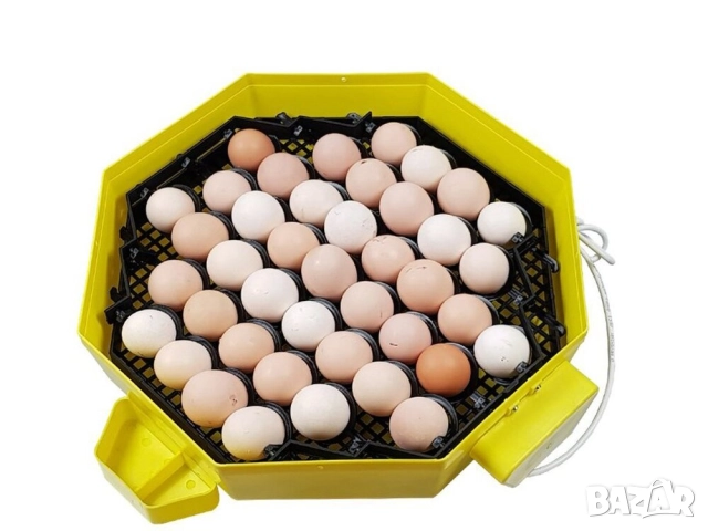 Автоматични румънски инкубатори за 41 яйца, Cleo 5 DTH, директен вносител, снимка 2 - За селскостопански - 52245421