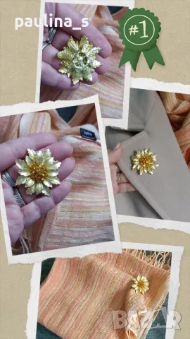 Пет различни Брошки / Винтидж Брошка / различни видове , снимка 14 - Други - 32554380