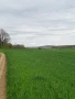 Поземлен земеделски имот , снимка 2