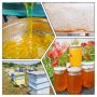 Натурален пчелен мед букет реколта 2023, снимка 1 - Пчелни продукти - 41571904