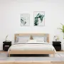 vidaXL Нощни шкафчета с LED осветление, 2 бр, черни, 40x39x48,5 см, снимка 3