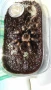 Тарантла tarantula , снимка 5