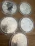 Лот инвестиционни сребърни монети по 1oz 9999 , снимка 11