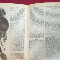 Илюстриран справочник на света на Толкин, снимка 2 - Енциклопедии, справочници - 41377053