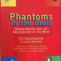 Phantoms in the Brain: Human Nature and the Architecture of the Mind (V.S. Ramachandran), снимка 1 - Други - 41441115