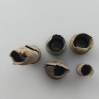 Старо оловно пули-куршум от Руско -Турската война., снимка 5 - Други ценни предмети - 40213140