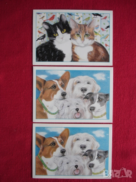 ASPCA(асоциация за защита на животните).3 двойни картички,издадени в САЩ , снимка 1