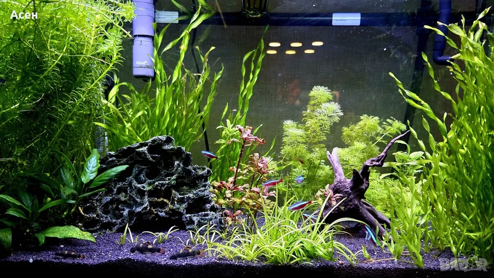 Аквариум Ferplast 125l комплект, снимка 1