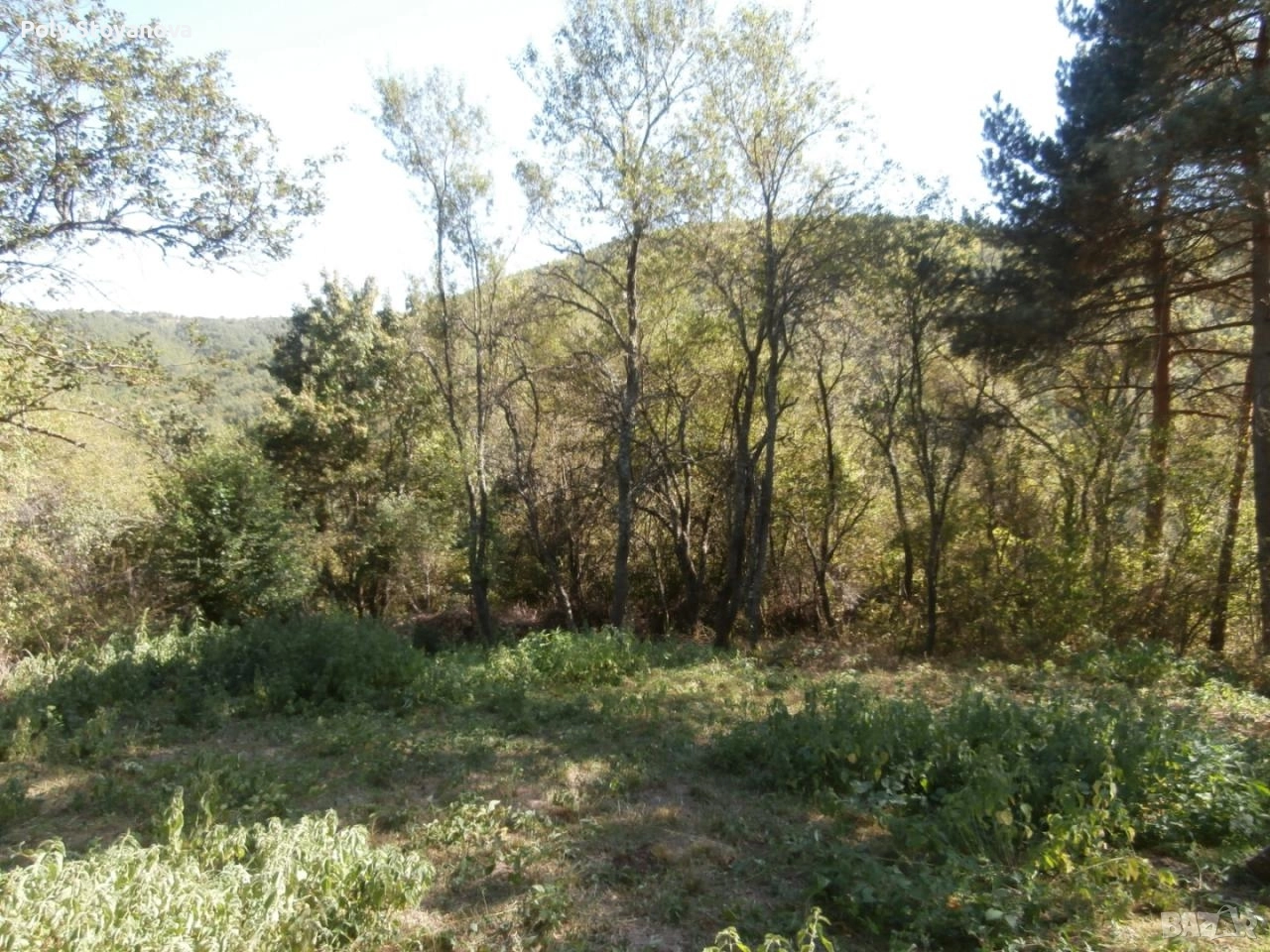 Продажба , снимка 1