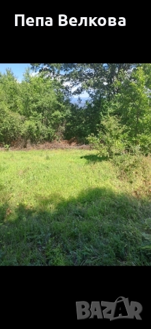 Дворно място в с.Ново Бърдо, снимка 4 - Парцели - 52254049