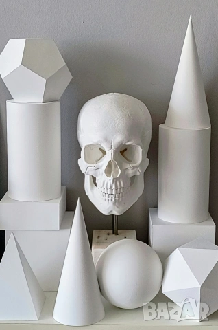 Геометрични Форми за Рисуване / Растителни / Анатомични Форми за Рисуване