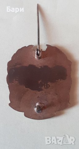 Царски значка,знак Видинь-Дунавска Юнашка Область, снимка 7 - Други ценни предмети - 41979333