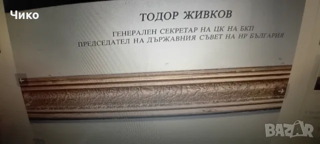Голям портрет на Тодор Живков, снимка 2 - Антикварни и старинни предмети - 55826477