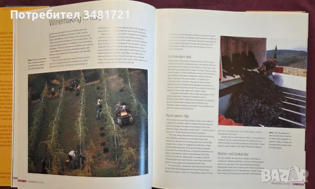 The New Italy. A Complete Guide to Contemporary Italian Wine, снимка 4 - Кулинария - 55817326