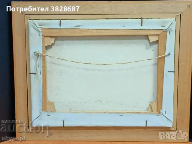 ПЕЙЗАЖ, снимка 5 - Картини - 48265623