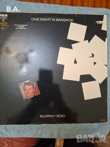 Плоча-Murray Head 12"