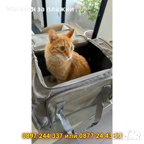 Транспортна чанта за коте/куче - КОД 4325, снимка 6 - Други стоки за животни - 49190828