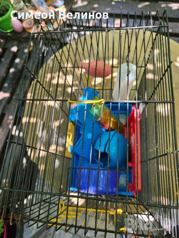 Продавам клетка за папатали, снимка 4 - За птици - 51938130
