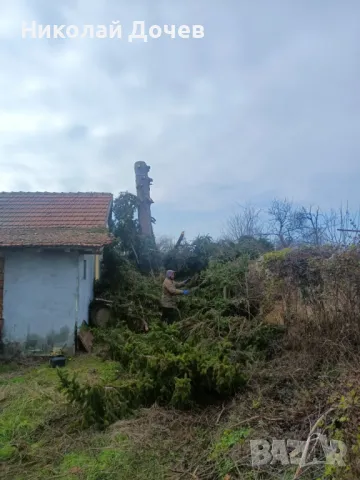 Рязане  на опасни дарвета и подръжка на парцели със профисионална техника, снимка 2 - Други почистващи услуги - 48378732