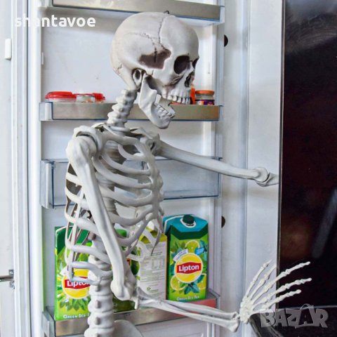 Човешки скелет в естествен размер 170 см - декор за парти, снимка 5 - Декорация за дома - 42576077