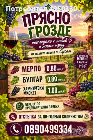Грозде сорт Мерло, Булгар и Хамбургски мискет 