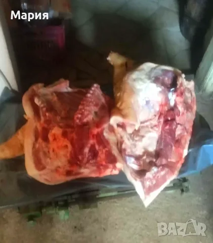 Прясно свинско ., снимка 5 - Домашни продукти - 56090042