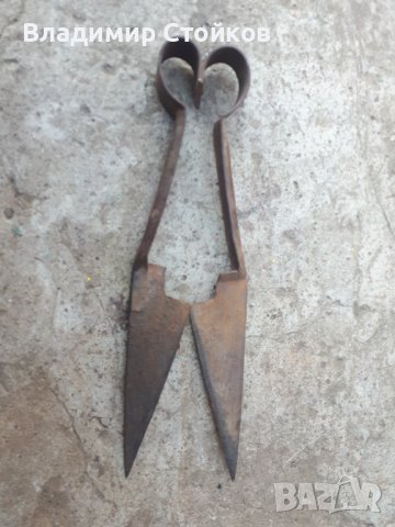 Стара ножица за стригане на овце