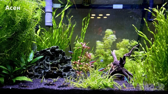 Аквариум Ferplast 125l комплект